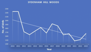 Yearly bird counts in Sydenham Hill Woods 2010-2023